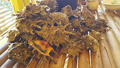 saang surigao
