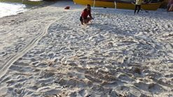 bitaug beach island